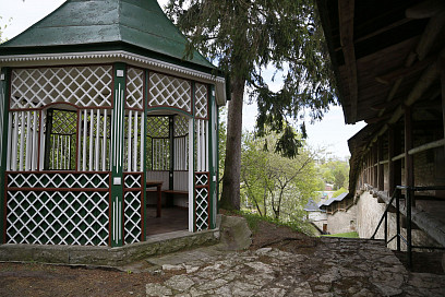 Фото: М. В. Галишников