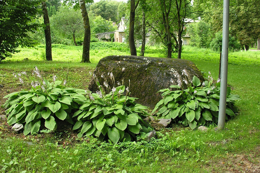 Камень Петра I (Petera i akmens)