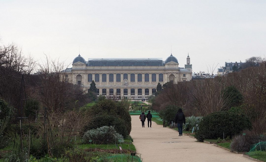 Ботанический сад (Jardin des Plantes) Ботанический сад (Jardin des Plantes)