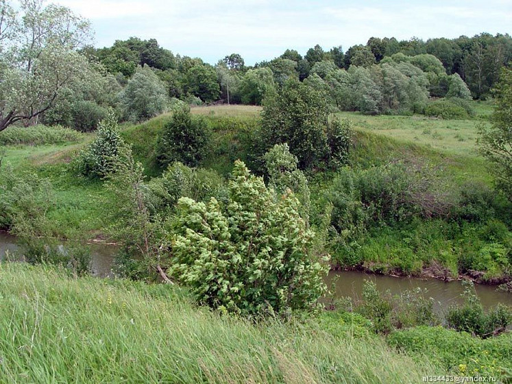 Плотина Ченцовского металлургического завода (Тульская обл.) Плотина Ченцовского металлургического завода (Тульская обл.)